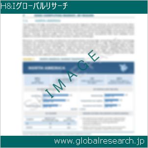 グローバルリサーチ調査レポートのイメージ